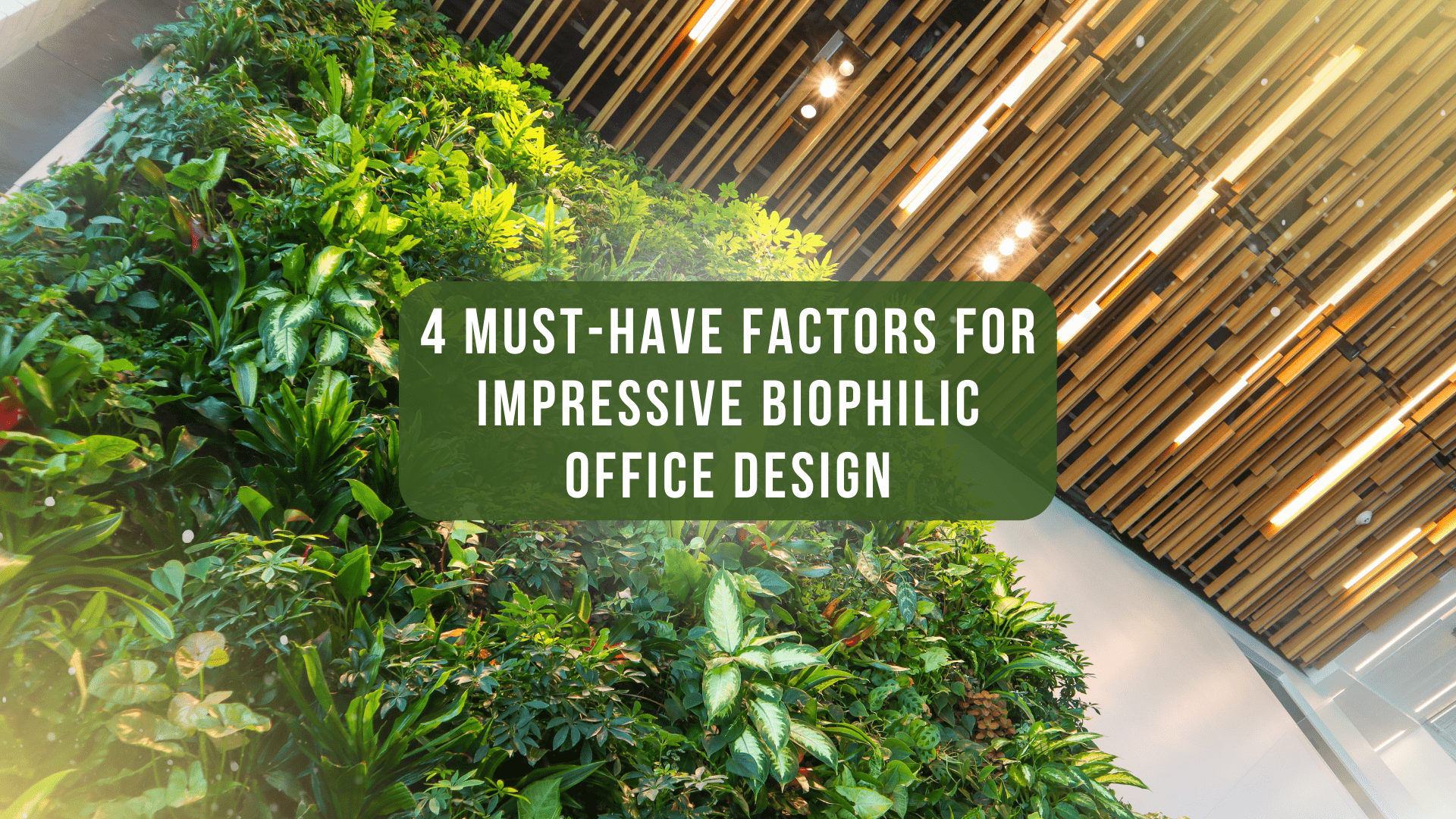 4 Must-have Factors For Impressive Biophilic Office Design